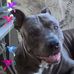 Gary Vargo - Facebook