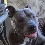 Gary Vargo - @vargogary - Instagram
