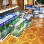 Gary Vargo - @vargo_aquarium - Instagram