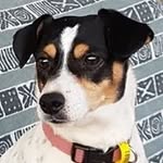 Gary Varley - @g.p.varley - Instagram