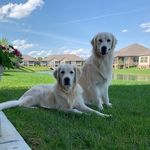 Gary Varley - @gary.varley.31 - Instagram