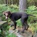 Gary Varley - Facebook