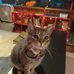 Gary Veach - Facebook