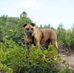 Gary Veen - Facebook