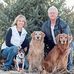 Gary Veenstra - Facebook