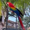 Gary Verdi - @gary.verdi - TikTok