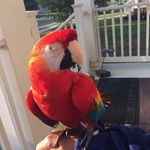 Gary Verdi - @verdigary - Instagram