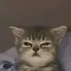 Gary シ︎ - @gary.vicente7 - TikTok