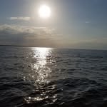 Gary Vick - @gary.vick59 - Instagram