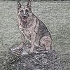 Gary Vineyard - @gary.vineyard7 - TikTok