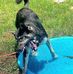 Gary Vogler - Facebook