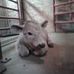 Gary waldner - @gary.waldner - Instagram