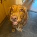 Gary Wales - Facebook