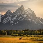 @garyw.ales - Instagram