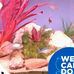 Gary Wallace - Facebook