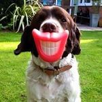 Gary Wallace - @garywallace - Instagram
