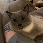Gary “the cat” Walston - @garebearwalston - Instagram