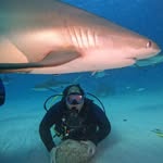 Gary Warwick - @garygjw77_ - Instagram