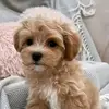 Gary Watson - @gary.watson183 - TikTok