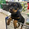Gary Watson - @gary.watson589 - TikTok