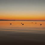 Gary Webb - @gary.the.bari - Instagram