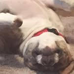 Gary Webb - @gwebb97206 - Instagram
