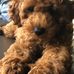 Gary Weddle - Facebook