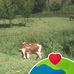 Weldon Kirui - Facebook