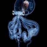 Gary Weekes - @statoshok - Instagram