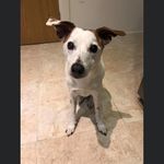 Gary Weeks - @guz1964 - Instagram