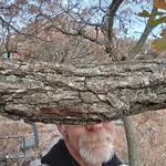 Gary Weeks - @buffalo_ridge_bystander - Instagram