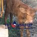 Gary Wehmeyer - Facebook