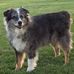 Gary Weigman - Facebook