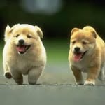 Gary Zhang - @gary_weikun - Instagram