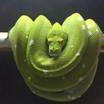 Gary Weimer - @garyweimer - Instagram