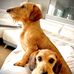 Gary Weimer - Facebook