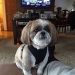 Gary Weinberg - @garymkz - Instagram
