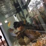 Gary Weinberger - @weinberger_gary - Instagram