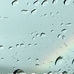 Gary Weinstein - @weinstein.gary - Instagram