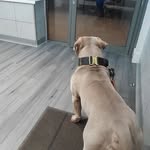 Gary Weir - @major_puffer - Instagram