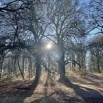Gary Wemyss - @garyw32 - Instagram
