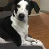 garywertin - @garywertin - TikTok