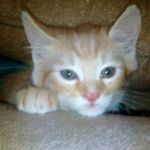 garywessels - @garywessels226 - Instagram