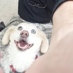 Gary Wheaton - @therealgarywheaton - Instagram