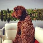 Gary Wheaton - @garywheaton72 - Instagram