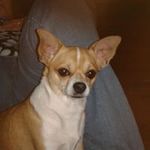 Gary Whigham - @gary.whigham.79 - Instagram