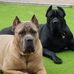 Gary Michael Whitcombe - Facebook