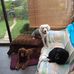 Gary Whitcombe - Facebook