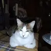 Gary White - @gary.white760 - TikTok