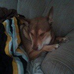 Gary Whiteman - @_im_that_nerdy_kid_462 - Instagram